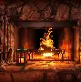 1yule- 成都蓉城提莫莱切特 